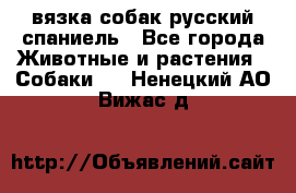 вязка собак русский спаниель - Все города Животные и растения » Собаки   . Ненецкий АО,Вижас д.